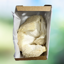 Simply Harvest Foods Specialty Fresh Mushrooms