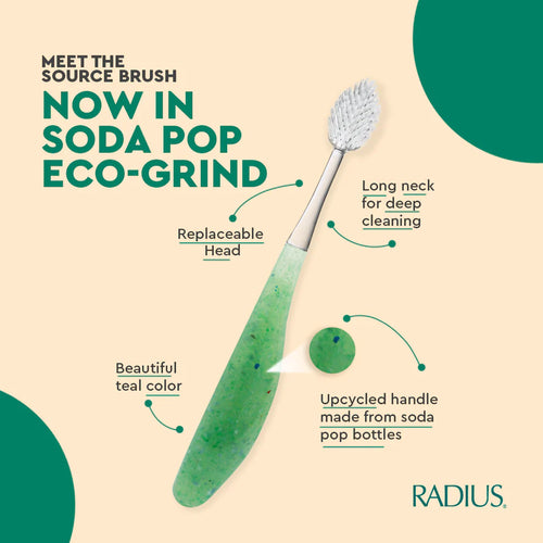 Radius SourceTM Toothbrush, Soft Replaceable Head