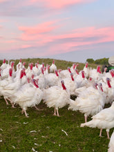 Whole Turkey (Coolsprings Ranch)