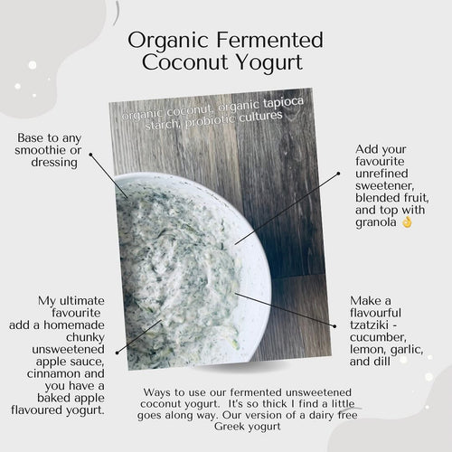 Wildflour Vegan & GF Fermented Coconut Yogurt