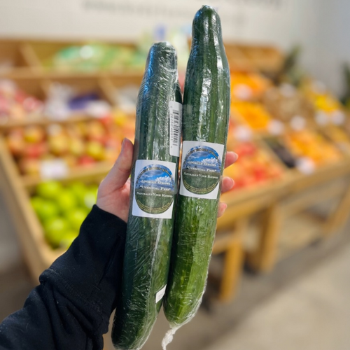2 PACK SPECIAL! Golden Eden Long English Cucumbers (Local)