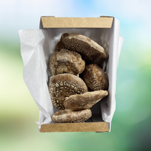 Simply Harvest Foods Specialty Fresh Mushrooms