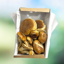 Simply Harvest Foods Specialty Fresh Mushrooms
