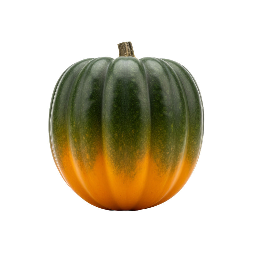 Acorn Squash