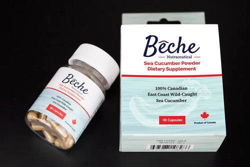 Beche Nutraceutical Sea Cucumber Powder, 30 caps