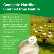 Capricare Infant Goat Milk Formula, Stage 2,  800g (Copy)