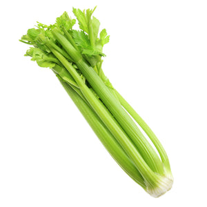 Celery