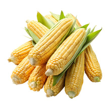 Corn on the Cob (LOCAL)