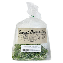 Earnest Greens Broccoli Microgreens, 2oz.