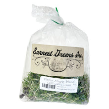 Earnest Greens Detox Micro-Blend, 2oz.