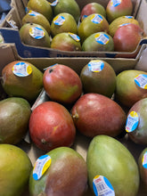 Mango, Kent (12ct CASE)