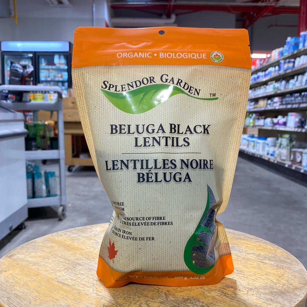 Splendor Garden Organic Beluga Black Lentils (600g)