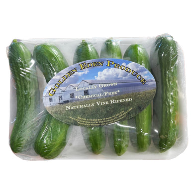 Golden Eden Mini Cucumbers (Local)