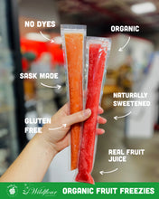 Wildflour Organic Fruit Freezie
