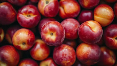 Case Deal!  Nectarines Organic,  18lb (BC)