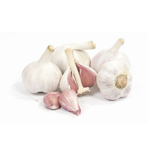 Garlic 1lb bags, Music Variety (Local)