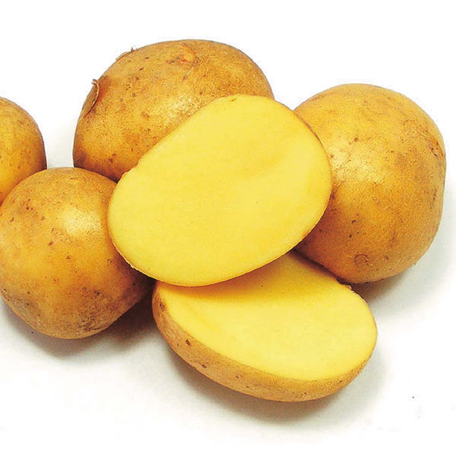 Yellow German Butter Potatoes, 5lb