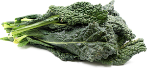 Black Lacinato Kale