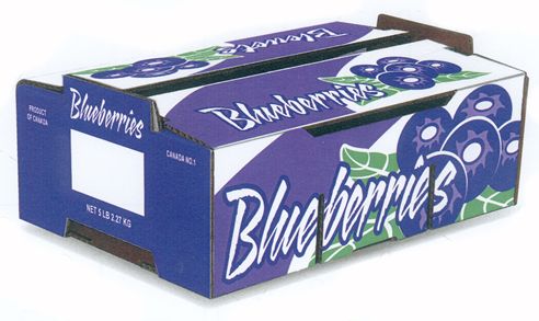 Blueberries, Organic (5lb Bulk)