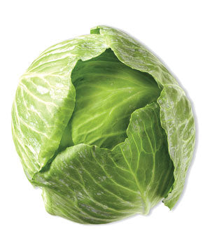 Cabbage, Green