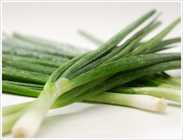 Green Onion (1 Bunch)