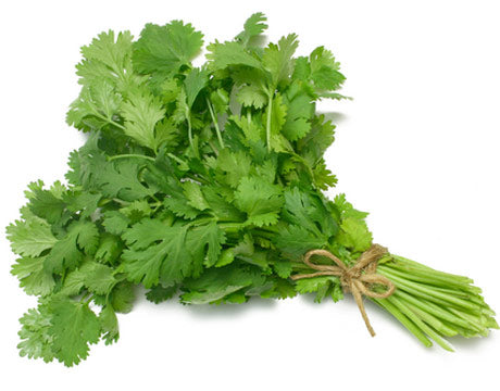 Cilantro (1 Bunch)