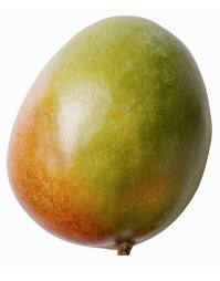 Mango, Kent