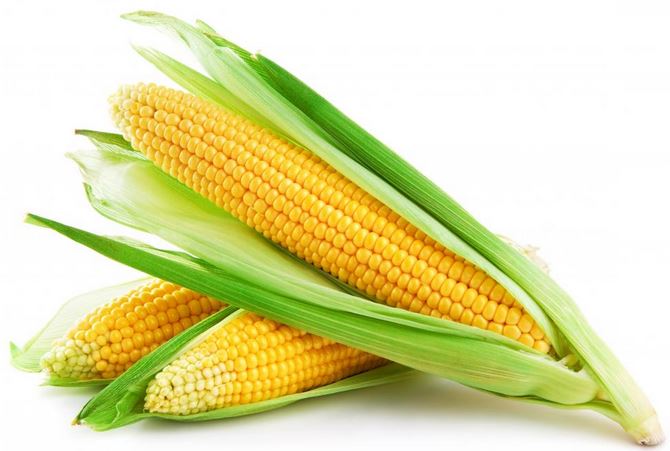 Corn on the Cob (LOCAL)
