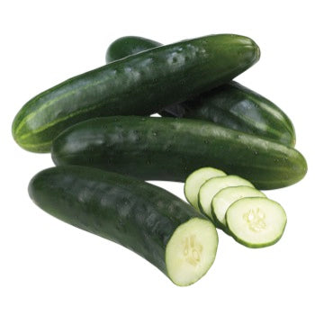 Field Cucumber