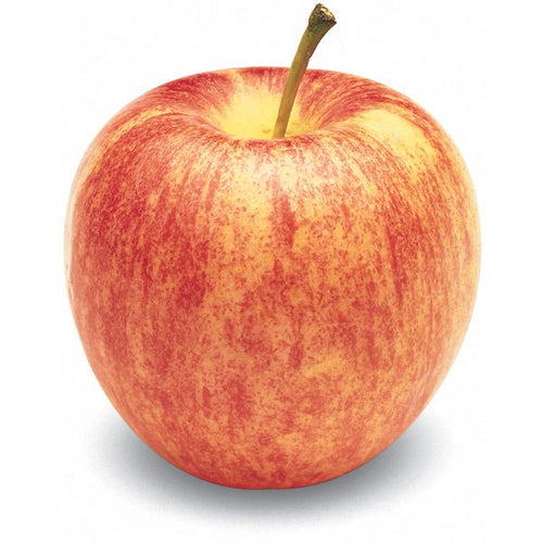 Gala Apple