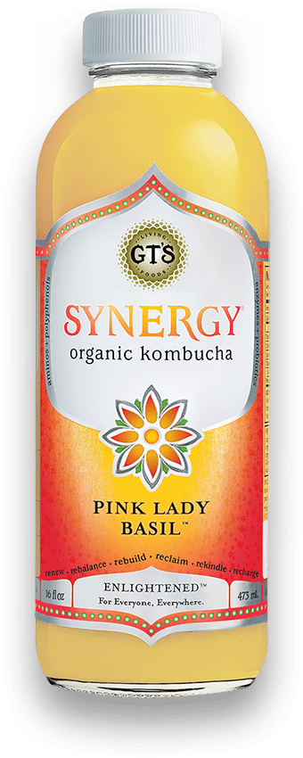 GT's Organic Pink Lady Apple Kombucha (480ml)