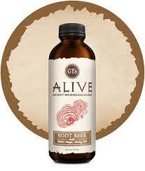 GT's Alive Mushroom Elixir Root Beer (480ml)