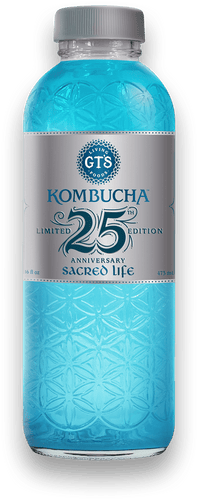 GT's Limited Edition Sacred Life Kombucha (480ml)