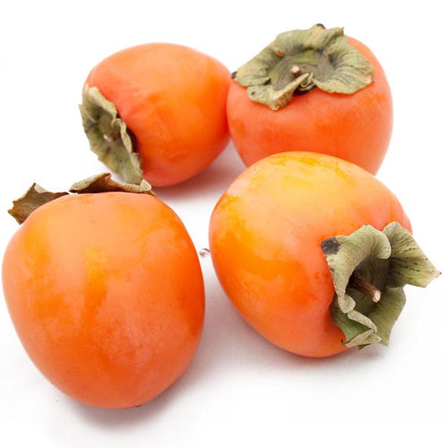 Fuyu Persimmon