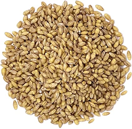Hulled Barley, Bulk (Organic)