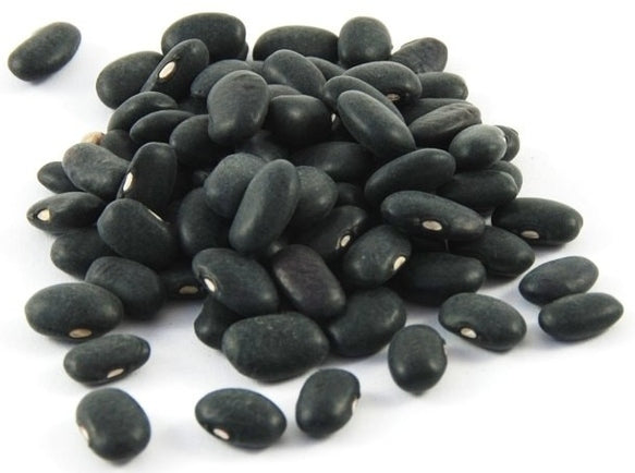 Black Kidney Beans, Bulk (Organic)