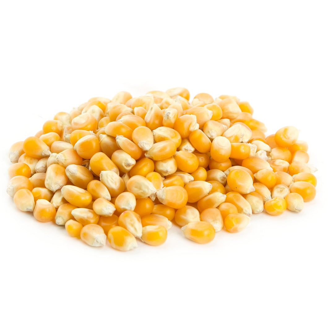Popcorn Kernels, Bulk (Organic) – Body Fuel Organics