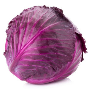 Cabbage, Red