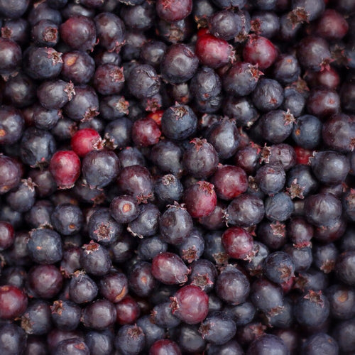 Frozen Saskatoon Berries, 1lb