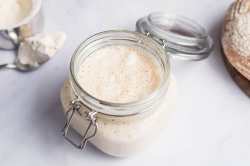 Sourdough Starter