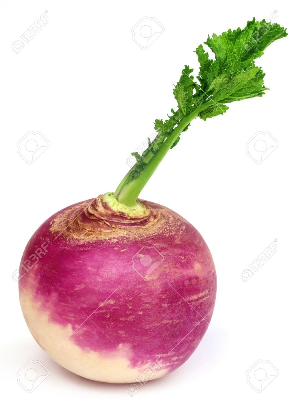 Turnip, 2lb
